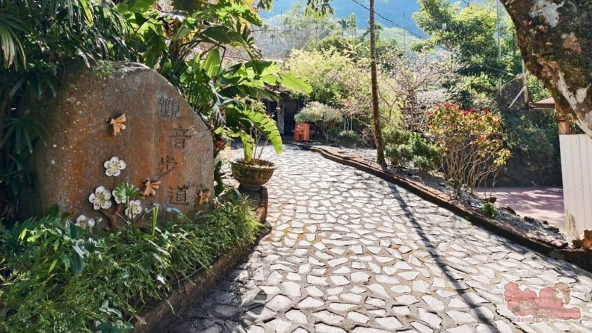 這裡有多條不同難度的步道可賞花，像是梅峰古道、伍龍步道等。（圖片來源：熱血玩台南。跳躍新世界）