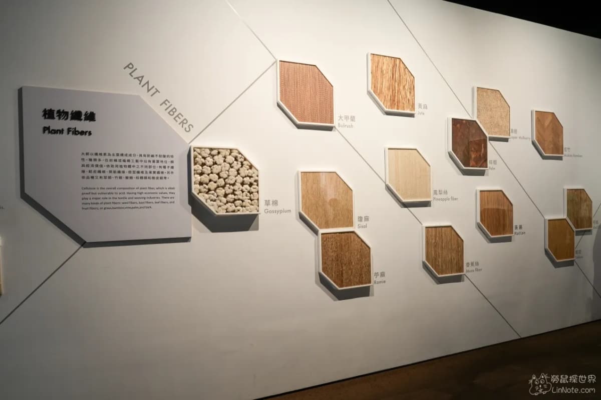 紙箱蓋出世界地標？台中10間超好拍觀光工廠：夢幻冰宮、巨型啤酒箱