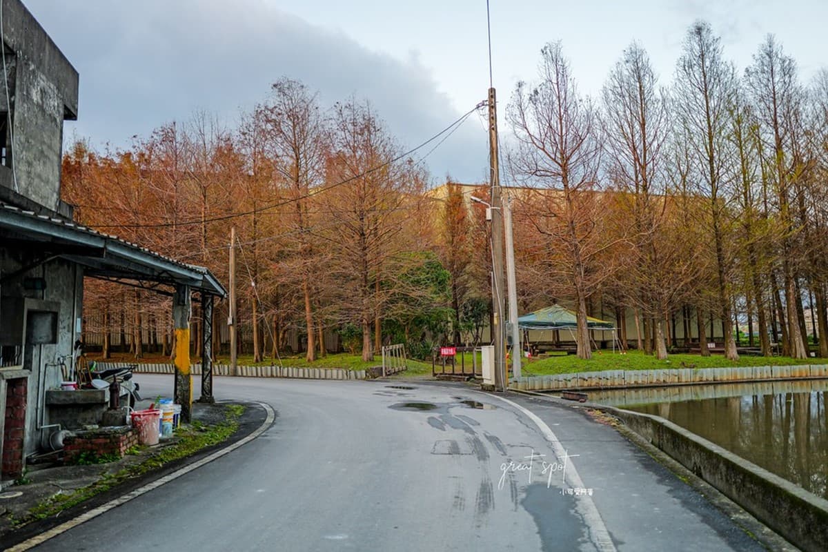 在地人才知道!宜蘭隱藏版「落羽松秘境」免費拍,橘紅夕陽灑落森林超夢幻 在地人才知道!宜蘭隱藏版「落羽松秘境」免費拍,橘紅夕陽灑落森林超夢幻