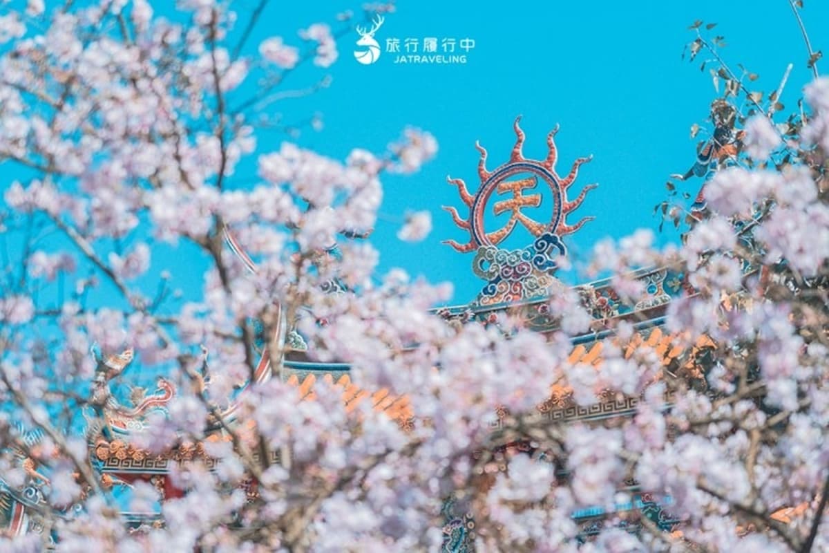 2026天元宮櫻花季懶人包!最新花況花期、交通方式、最佳賞花拍照點一次看 2026天元宮櫻花季懶人包!最新花況花期、交通方式、最佳賞花拍照點一次看
