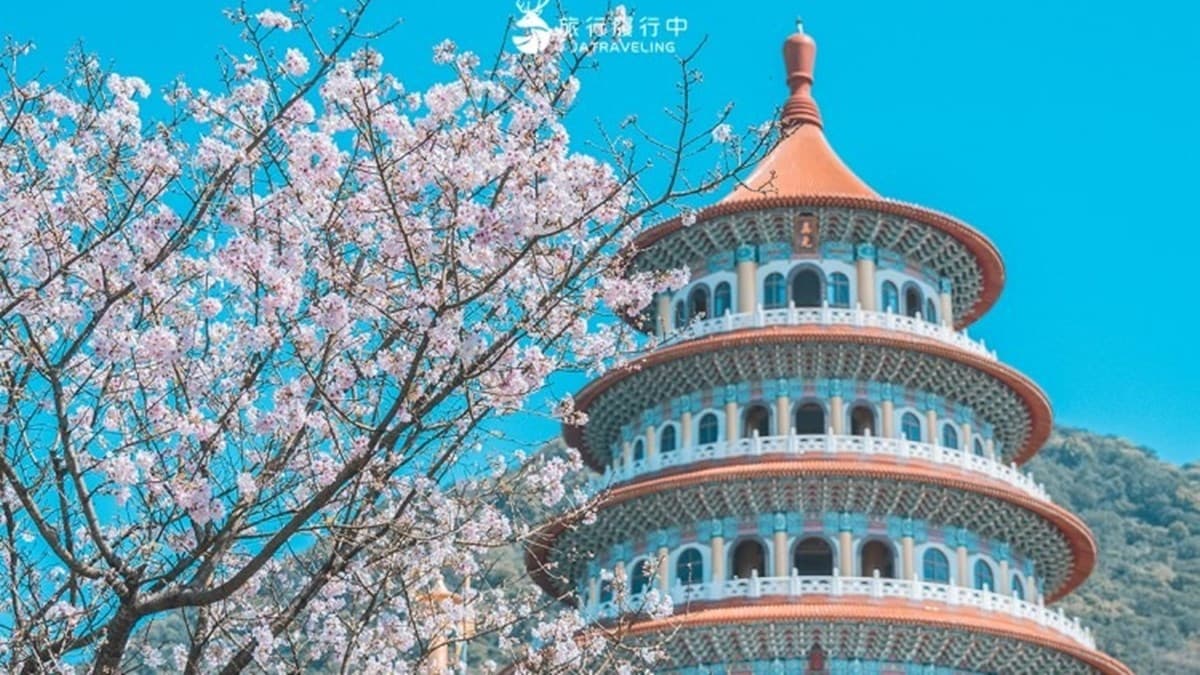 2026天元宮櫻花季懶人包!最新花況花期、交通方式、最佳賞花拍照點一次看 2026天元宮櫻花季懶人包!最新花況花期、交通方式、最佳賞花拍照點一次看