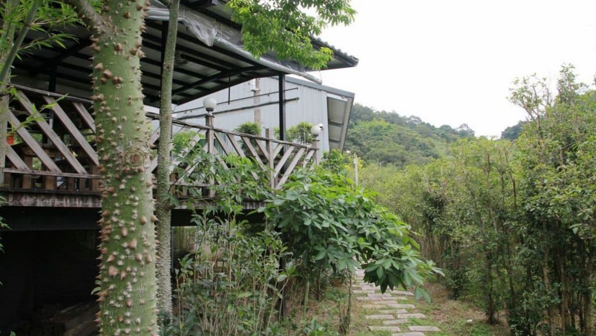 茶園綠意滿滿，待起來格外清涼、舒服。（圖片來源：享受生活不無聊。規小孫）