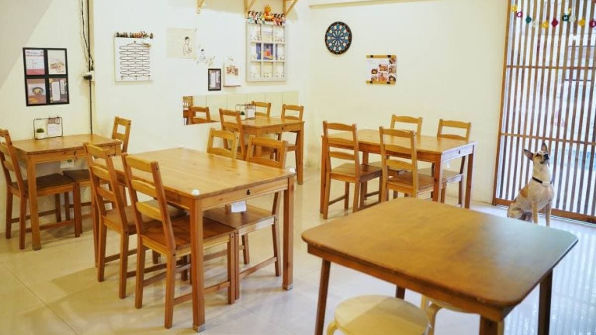 店家裝潢以日系木質風格為主軸，看上去特別舒服。（圖片來源：阿華田的美食日記）