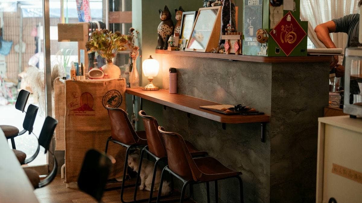 店內裝潢走工業風，是一家很有「質感」的貓咪咖啡廳。（圖片來源：莓姬Maggie）
