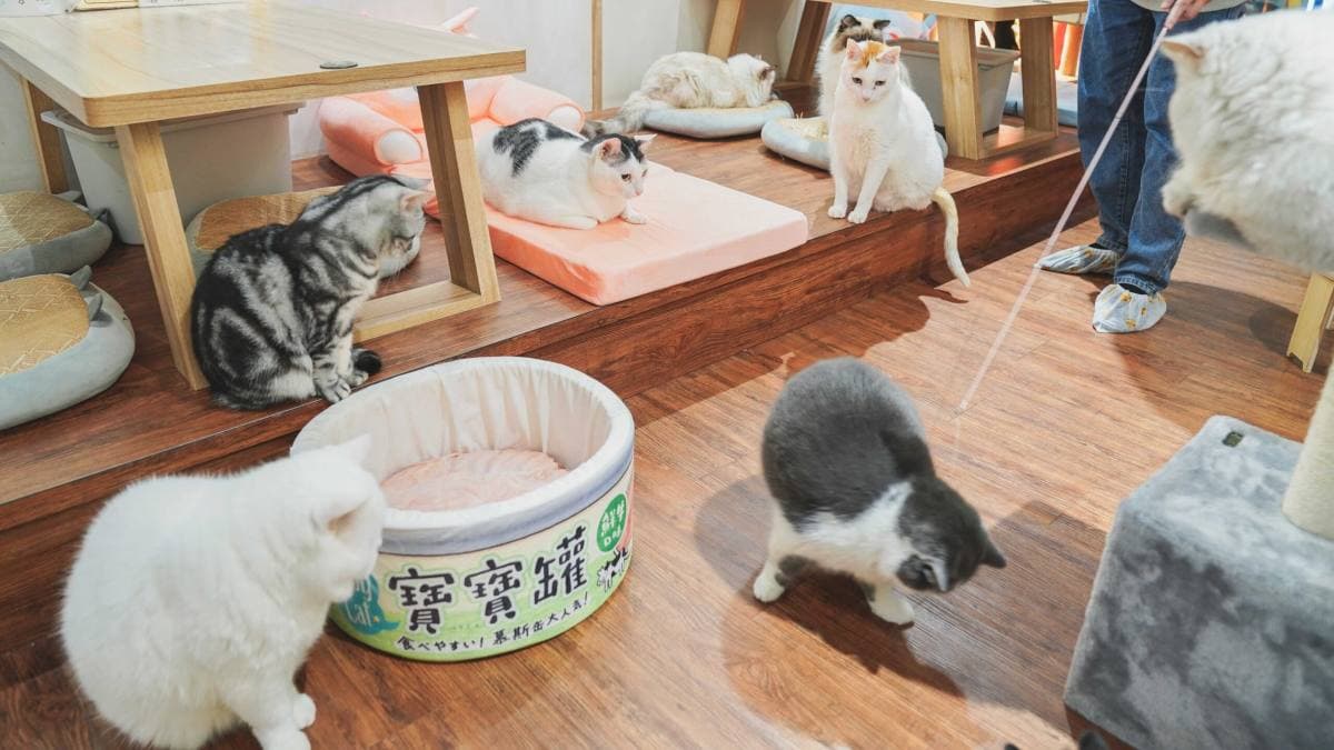 店內環境整潔，搭配柔和燈光，給人舒適又放鬆的感覺。（圖片來源：Jason's Life）
