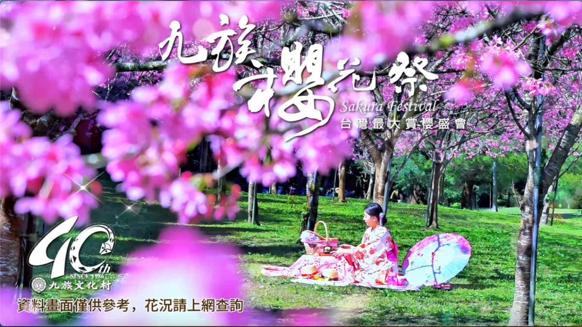 走春賞櫻趁現在！九族櫻花全線盛開，2/14起夜櫻、夜舞祭表演正式登場