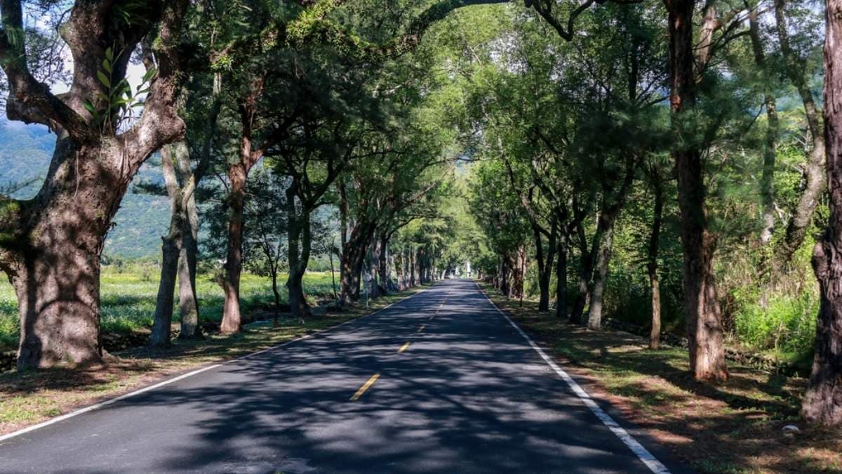 武陵綠色隧道