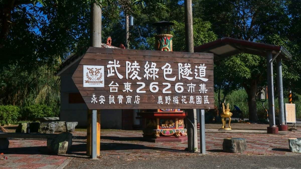 全長約4.5公里的武陵綠色隧道很適合以自行車遊覽。（圖片來源：GO阿綸@旅人狂潮）