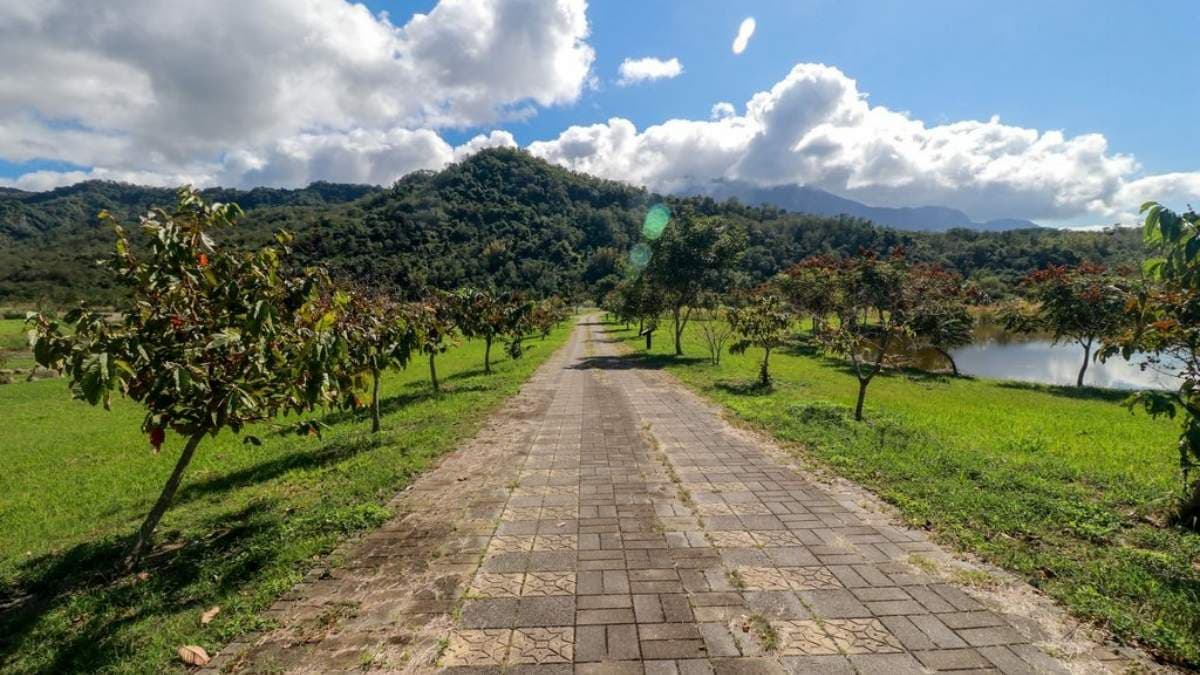 溼地內也有步道，可以繞溼地一圈。（圖片來源：GO阿綸@旅人狂潮）