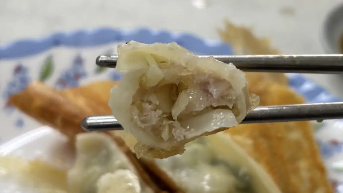 高麗菜口味的雪花鍋貼內餡清爽，吃得到高麗菜自然的甜脆。（圖片來源：勞鼠探世界）