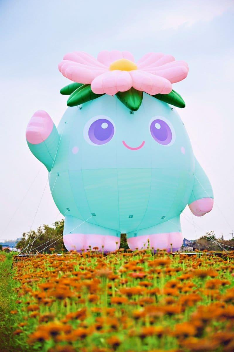 高雄走春開逛！「2026美濃花海節」花季倒數，必拍超萌小精靈、漸層花彩帶