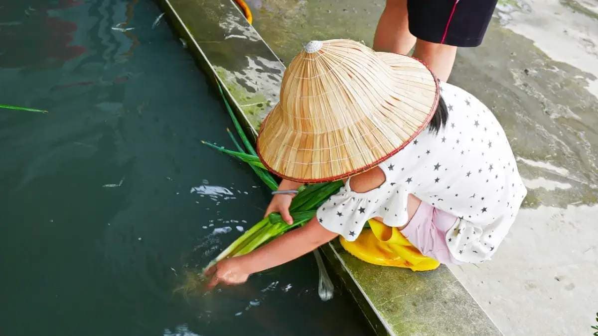 從農場採回來的蔥，可在洗蔥體驗區清洗乾淨。（圖片來源：小妞的生活旅程）