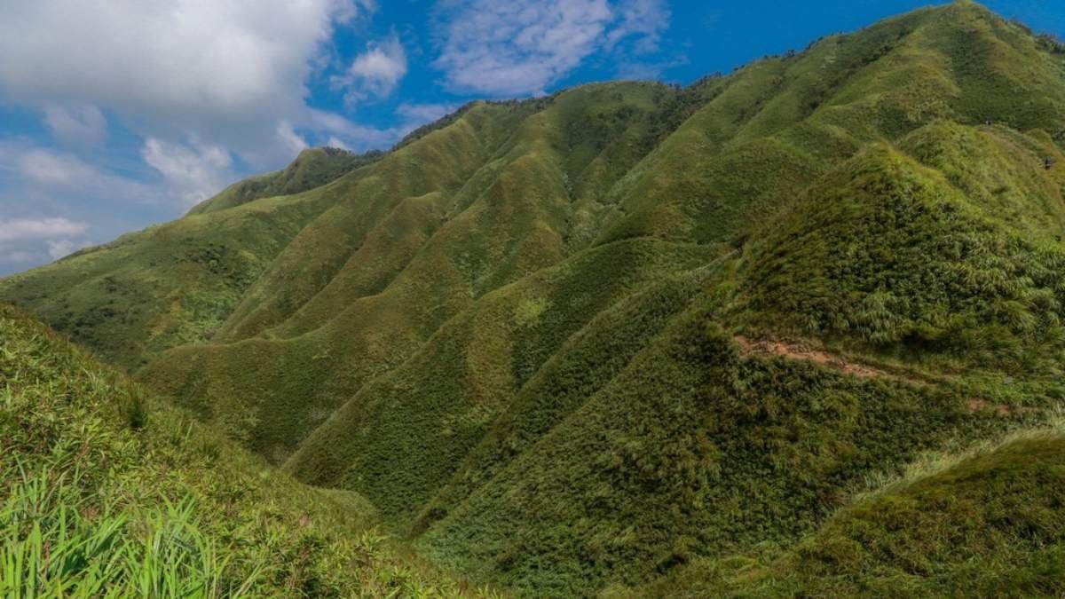 山嵐被漂亮的抹茶色草浪披覆，吸引不少遊客前來朝聖。（圖片來源：GO阿綸@旅人狂潮）