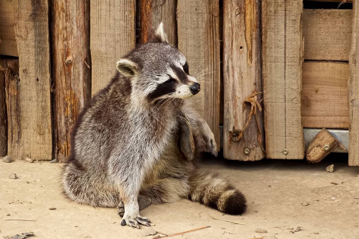 內灣老街、六福村都輸它！新竹最夯景點年吸386萬人，好拍好逛、親子一日遊