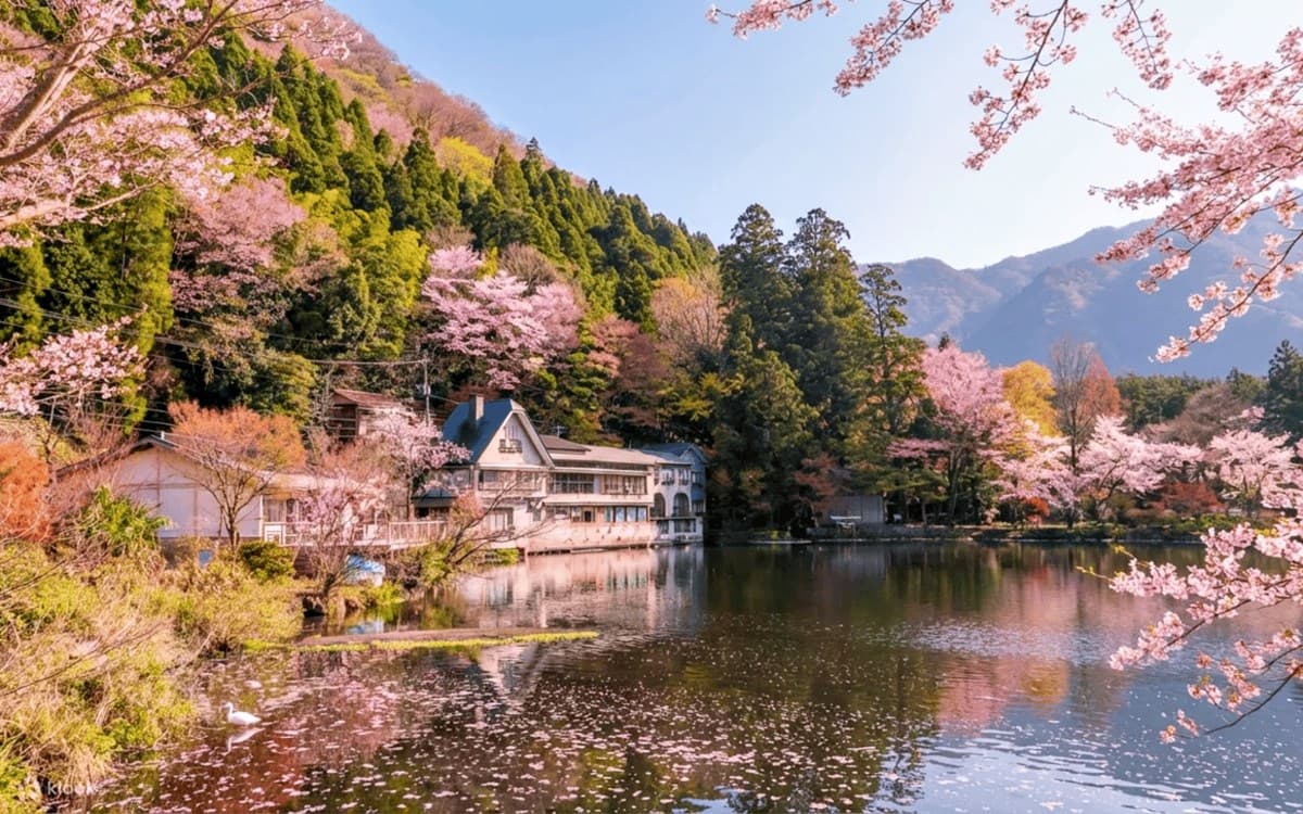 直飛日本、首爾只要999元！快閃３天優惠手刀搶，超過35款門票買一送一