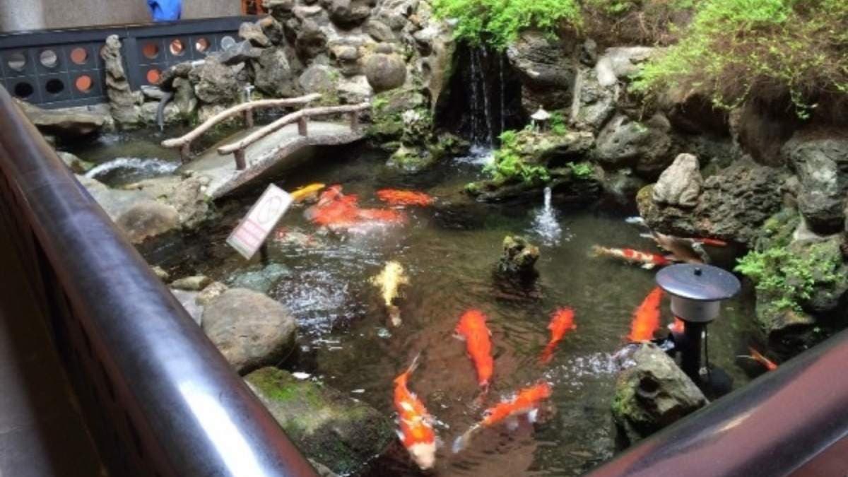 正殿旁邊有個魚池，造景非常漂亮。（圖片來源：my Love Family）