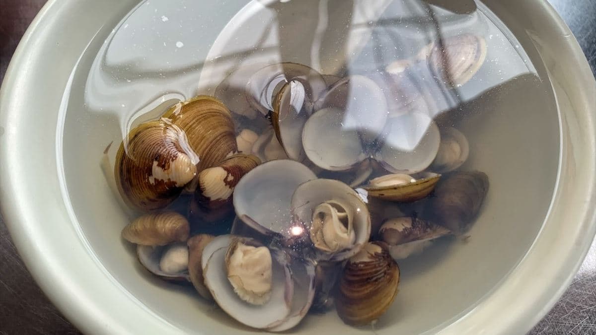 「蜆仔湯」的味道有蜆仔的鮮和薑的香味，非常清爽。（圖片來源：果果愛Fruitlove）