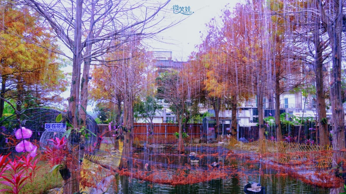 走進童話繪本世界!花蓮8間夢幻民宿推薦,可愛蘑菇屋、泡湯看星空 走進童話繪本世界!花蓮8間夢幻民宿推薦,可愛蘑菇屋、泡湯看星空