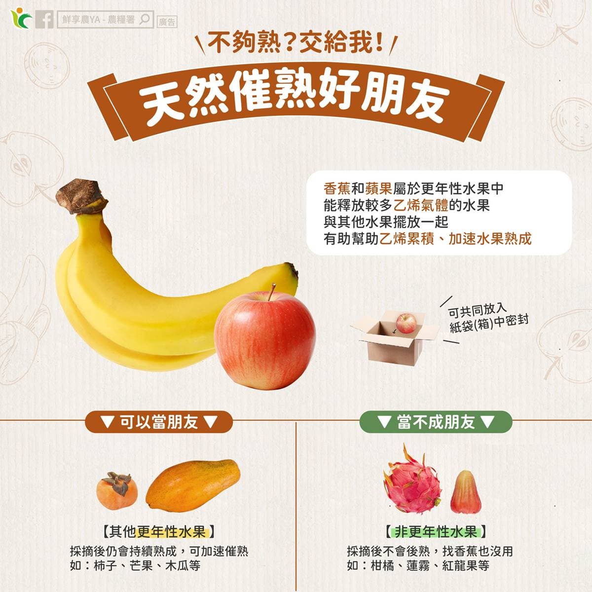 果皮別直接削掉!3水果連皮吃消水腫、助排便,加碼1招熟得更快又好吃 果皮別直接削掉!3水果連皮吃消水腫、助排便,加碼1招熟得更快又好吃