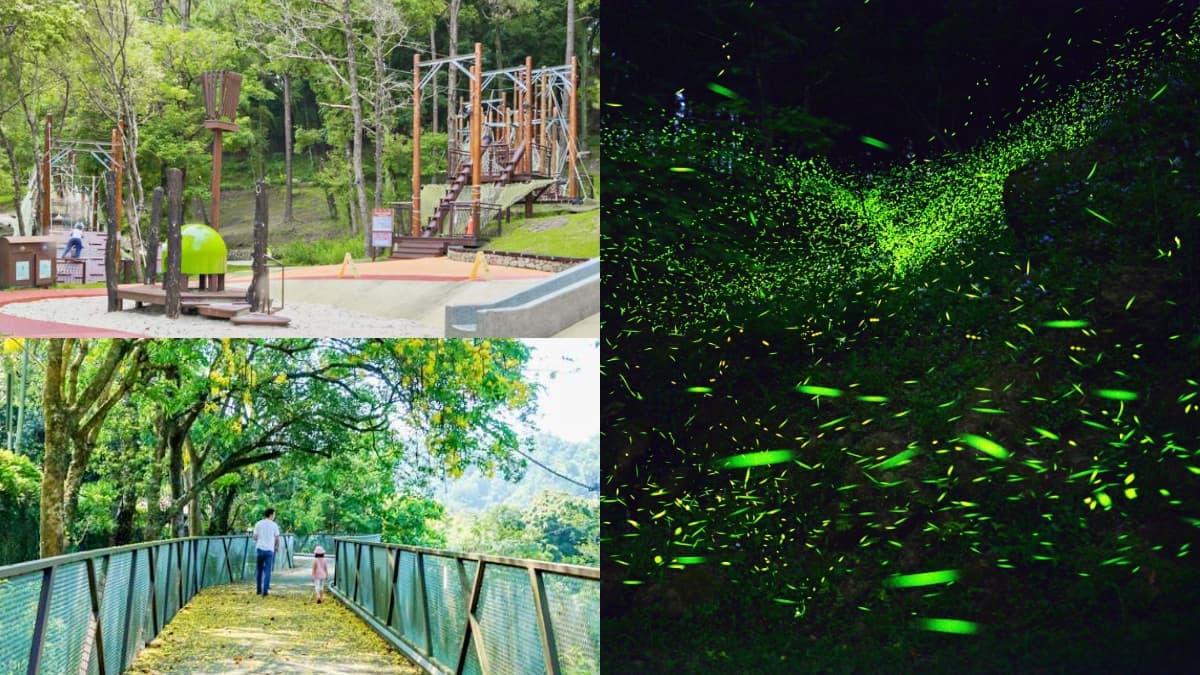 免費入園現省250元！台中最好玩森林遊樂區「東勢林場」，看螢火蟲走天空步道