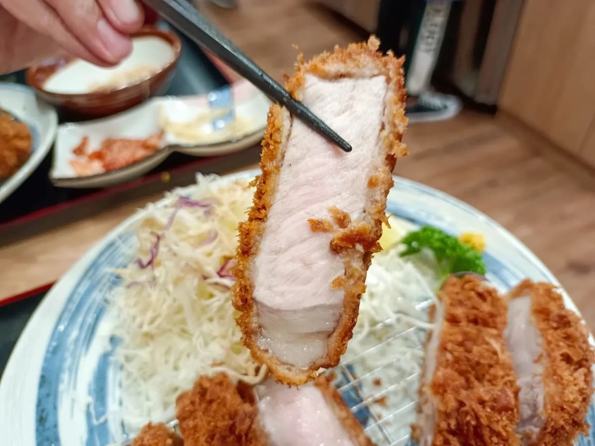 炸豬排名店再+１！京都第一豬排「空蟬亭」將來台，盤點10間老饕推薦