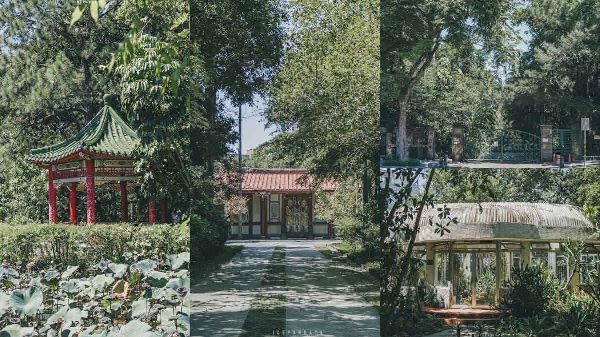 台北南機場一日散策！免門票植物園小森林、史博館翻新必看，夜市10家美食吃起來