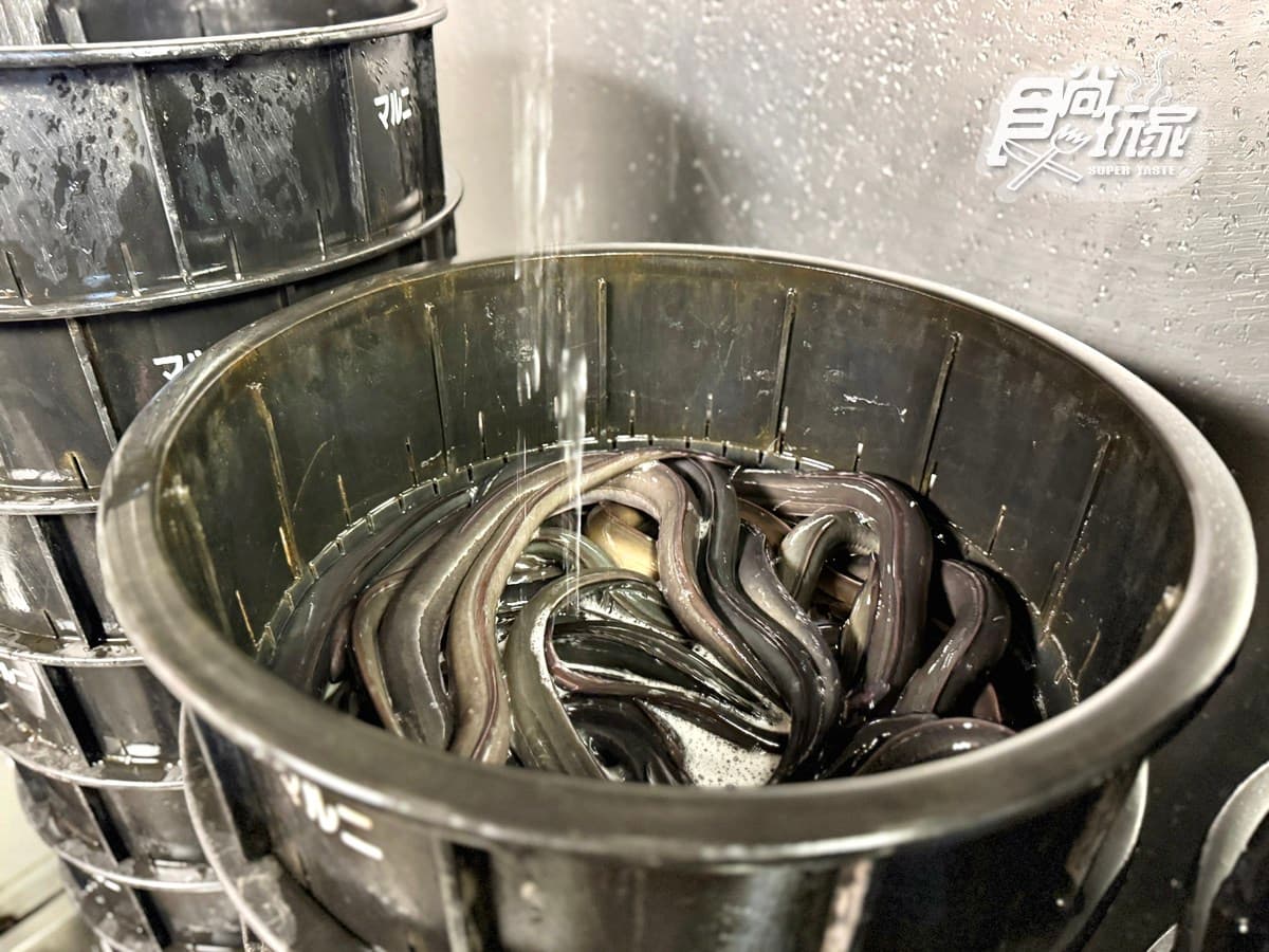 全台首間「日本百年鰻魚店」！必點巨無霸烤鰻、爆汁玉子燒，鰻魚定食買一送一