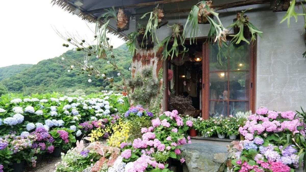 花田的最大特色是結合了花藝創作藝術，美照可以拍好拍滿。（圖片來源：阿一一之食意旅遊）