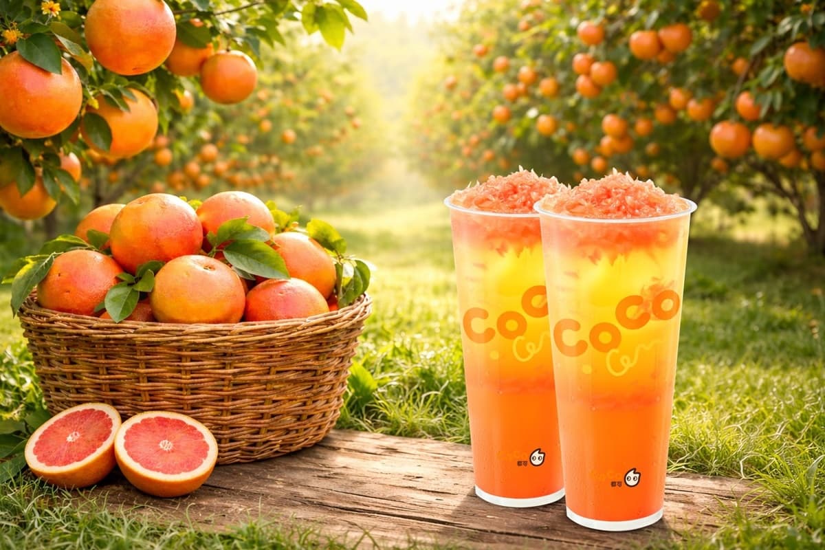 CoCo2杯大珍奶66元!五桐號全新「麝香葡萄飲」7折喝,大苑子買一送一 CoCo2杯大珍奶66元!五桐號全新「麝香葡萄飲」7折喝,大苑子買一送一