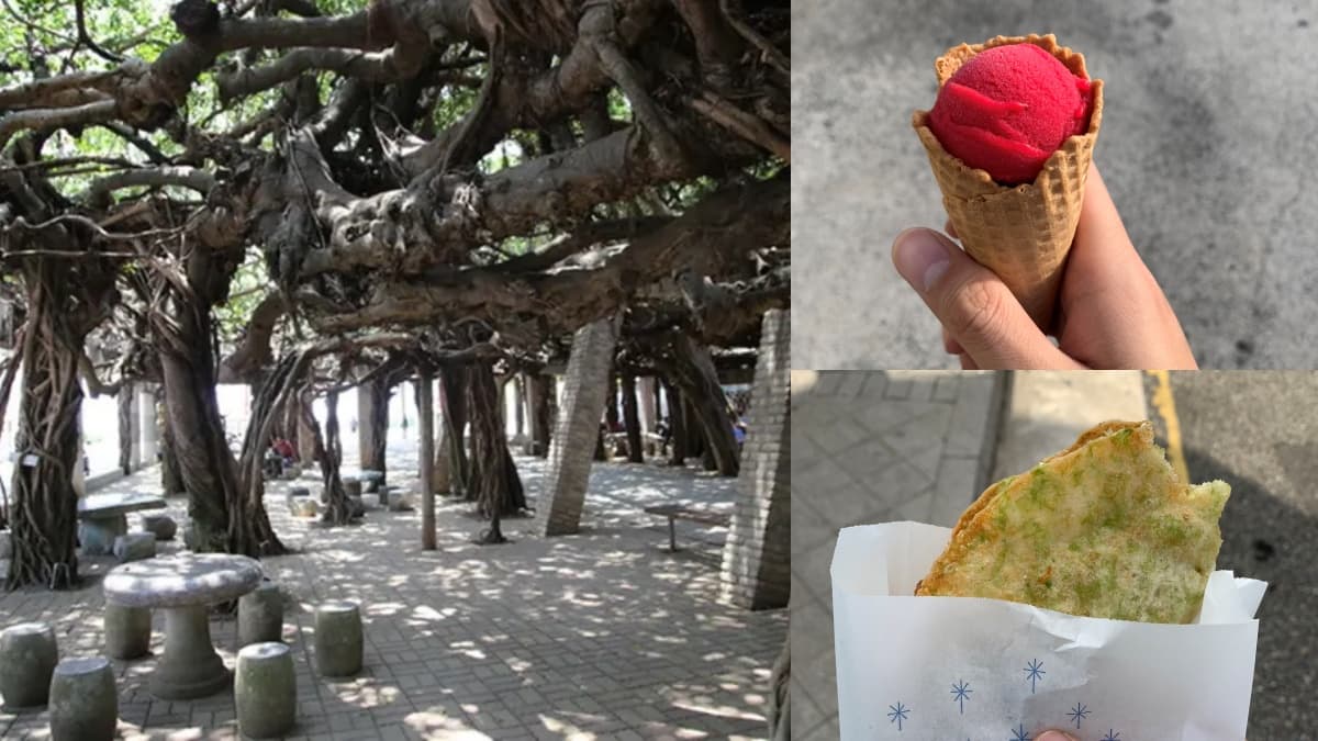 澎湖花火節一日遊怎麼安排?北環景點攻略、海味美食推薦、煙火私房景點一次看 澎湖花火節一日遊怎麼安排?北環景點攻略、海味美食推薦、煙火私房景點一次看