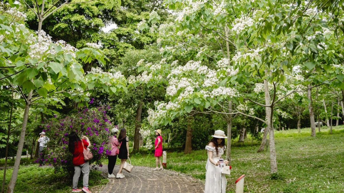 （圖片提供：黑皮的旅遊筆記）
