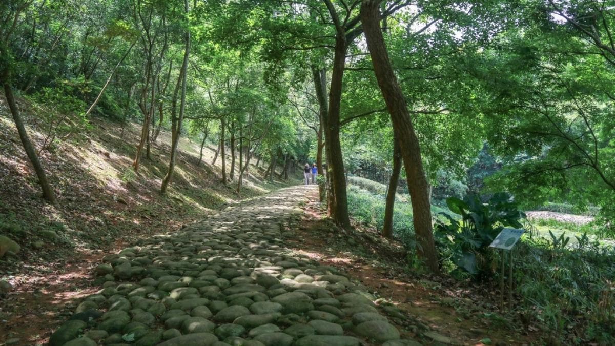 公園內的卵石步道約２公里，可以走到客家文化館。（圖片來源：GO阿綸@旅人狂潮）