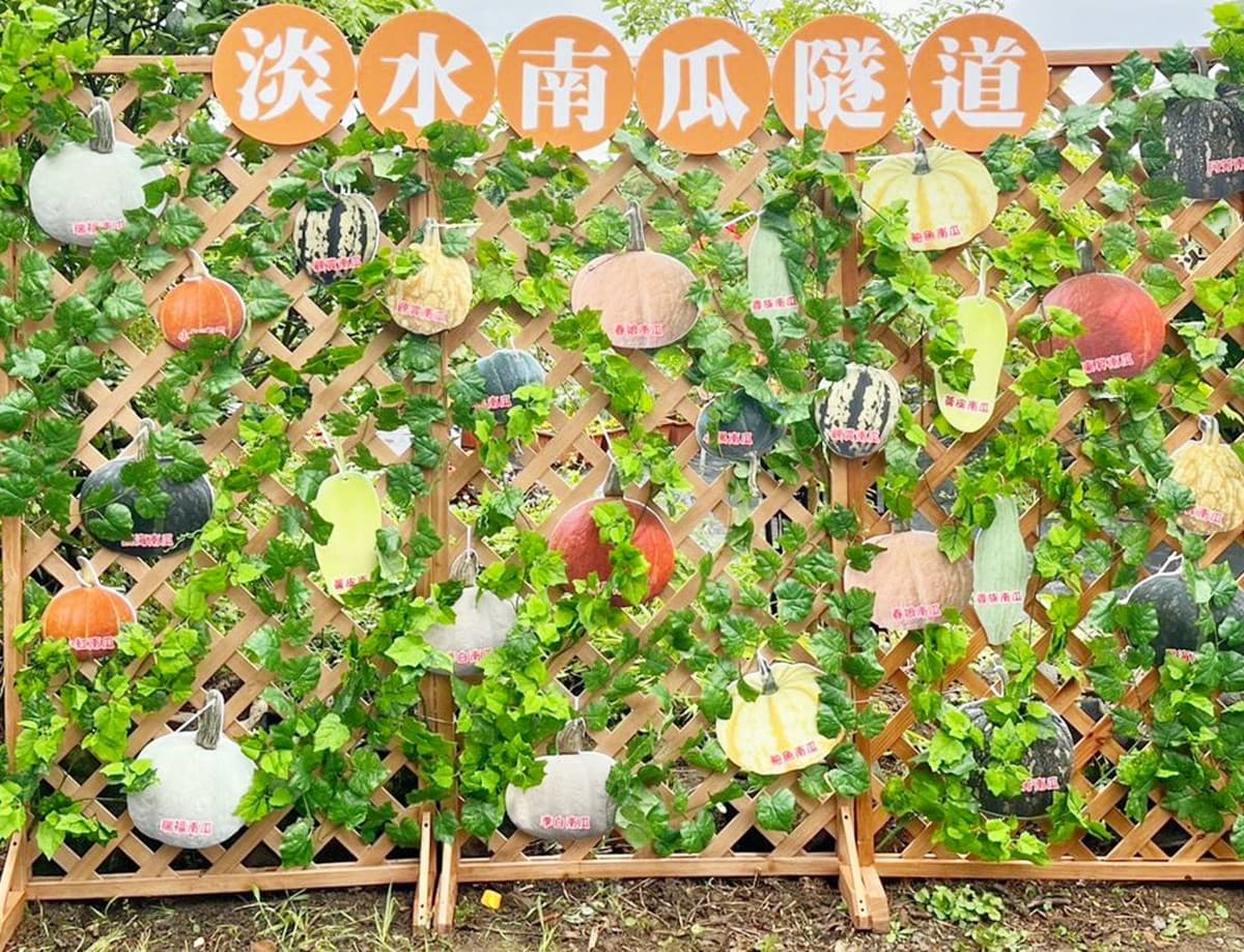 全台最長「南瓜隧道」在新北!5月免費開放參觀,超過30種造型南瓜大集合 全台最長「南瓜隧道」在新北!5月免費開放參觀,超過30種造型南瓜大集合