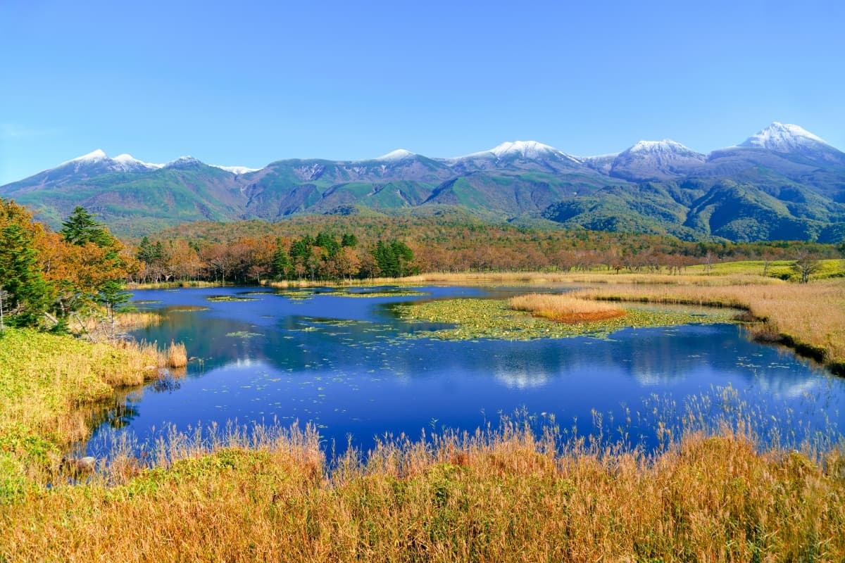 此生必看日本世界遺產TOP10！富士山、合掌村、姬路城，快來盤點去過幾個？