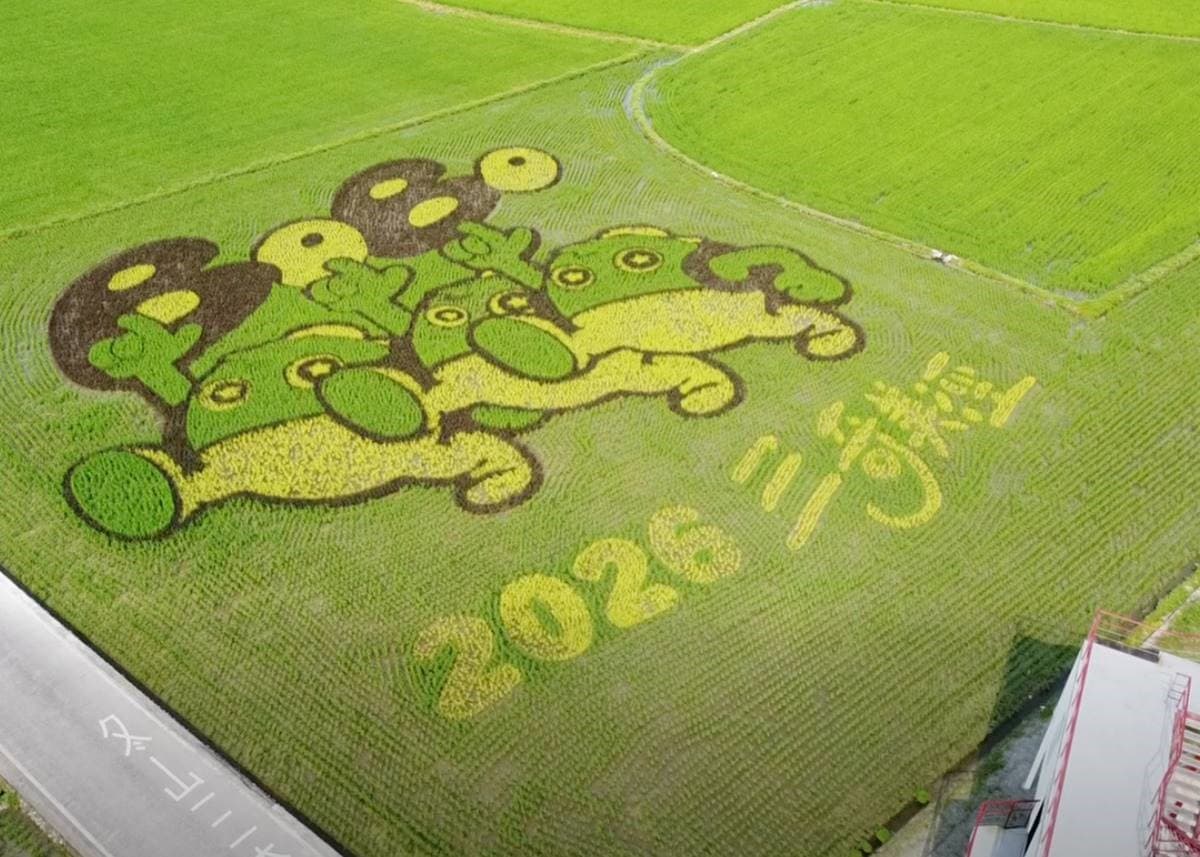 「宜蘭熱氣球嘉年華」６月回歸！搭乘熱氣球升空看美景，彩繪稻田搶先亮相