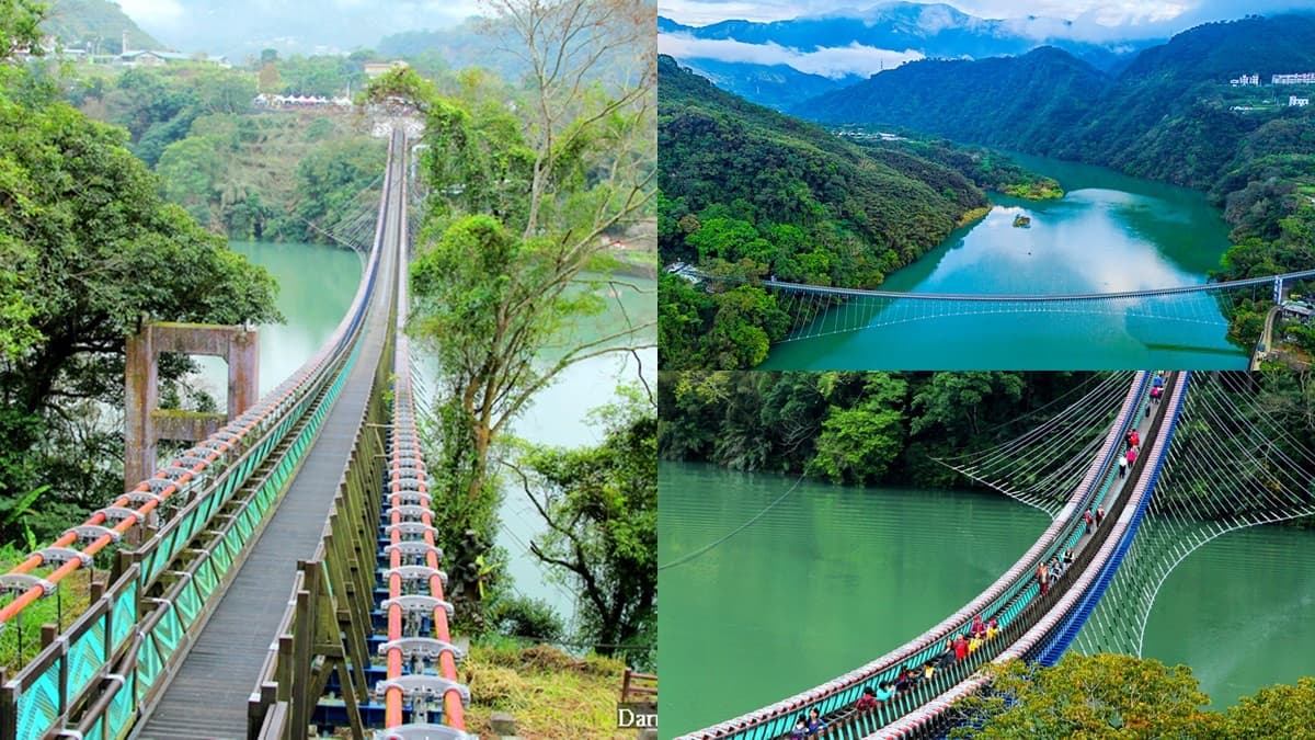 「全台最長懸索橋」5/16重開放！303公尺膽量挑戰、６月底前免門票