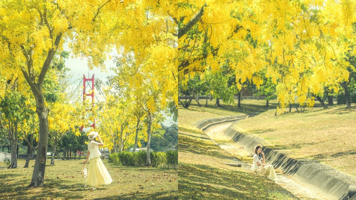 高雄下起夢幻黃金雨！絕美阿勃勒自行車道藏在這，加碼推薦16處免門票祕境