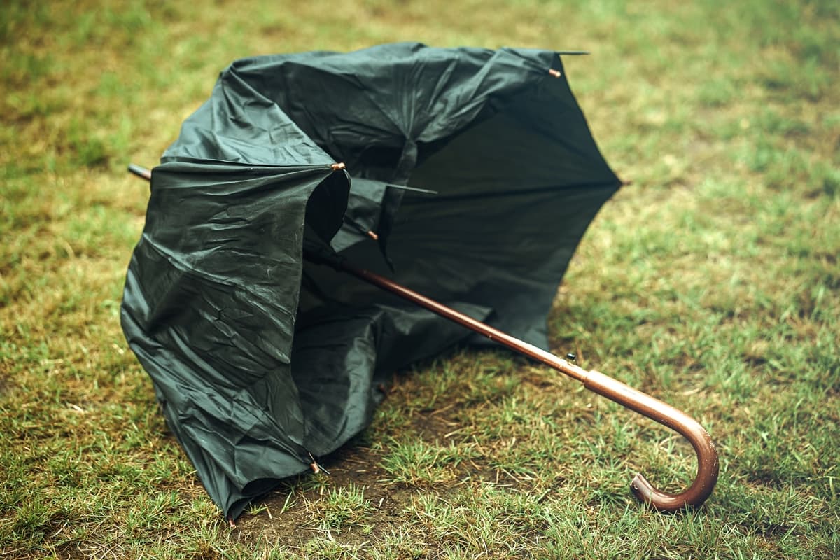 雨傘壞掉怎麼修？達人用１物幫傘延壽超牢固，加碼壞傘回收法做錯罰6000元