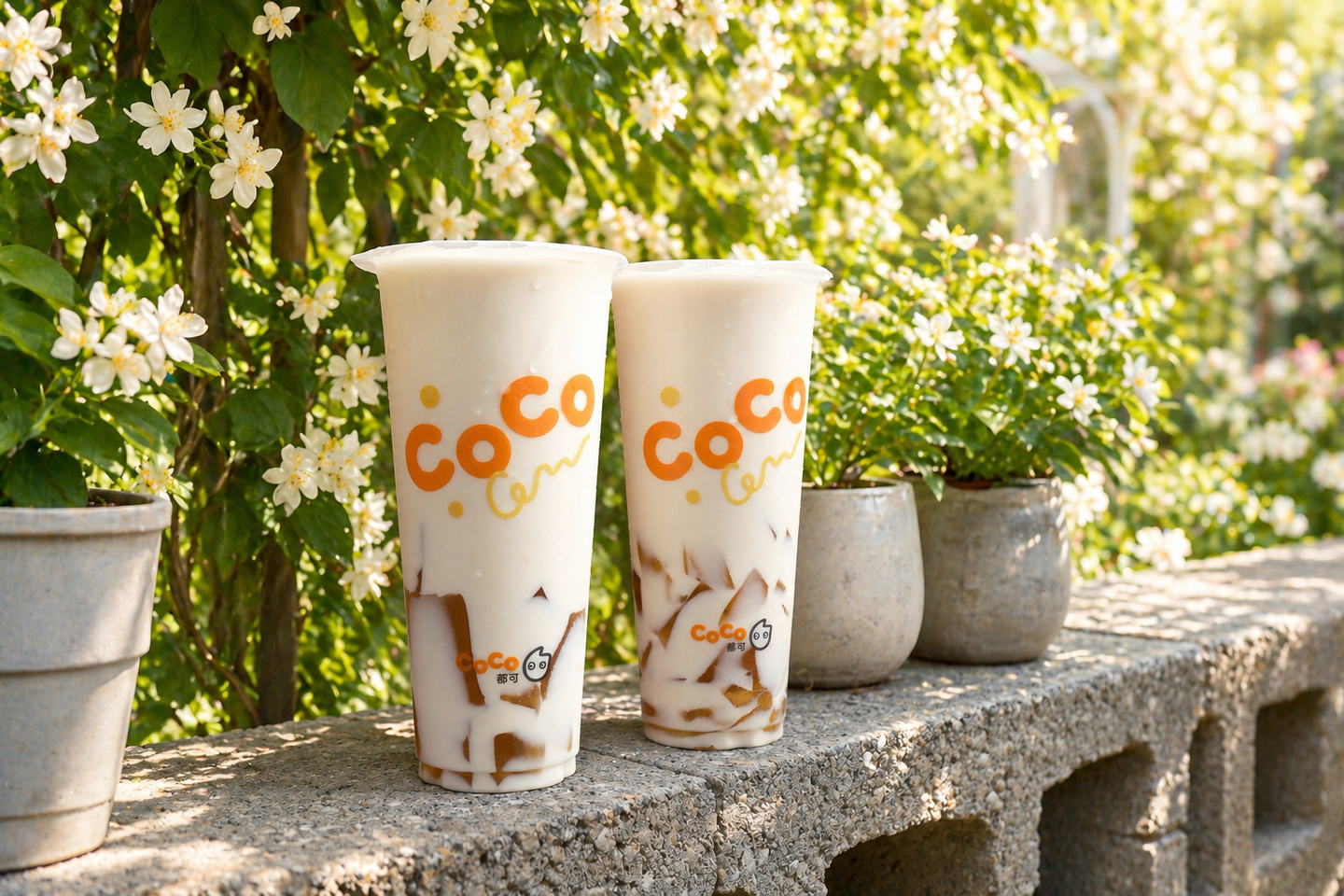 CoCo整個月買一送一！奶綠、拿鐵４夯品喝爆，加碼甜夏桂花飲買一送一