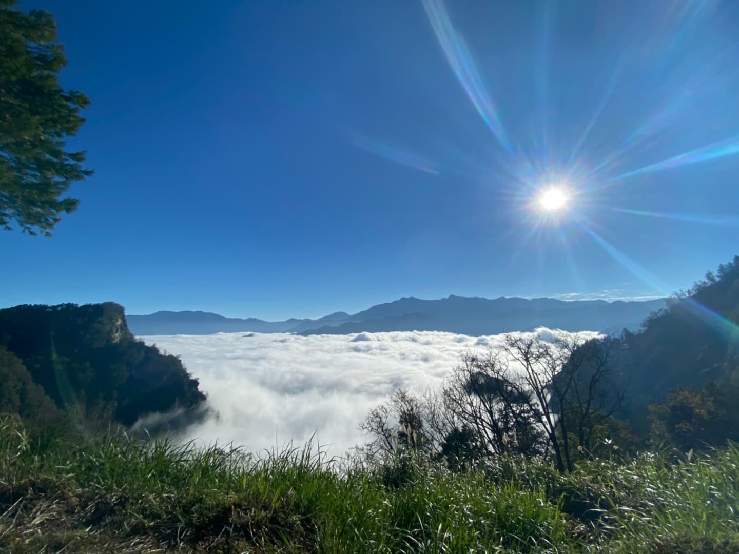 最新Taiwan PASS台鐵版旅遊攻略！一張套票搞定全台交通，說走就走輕鬆玩