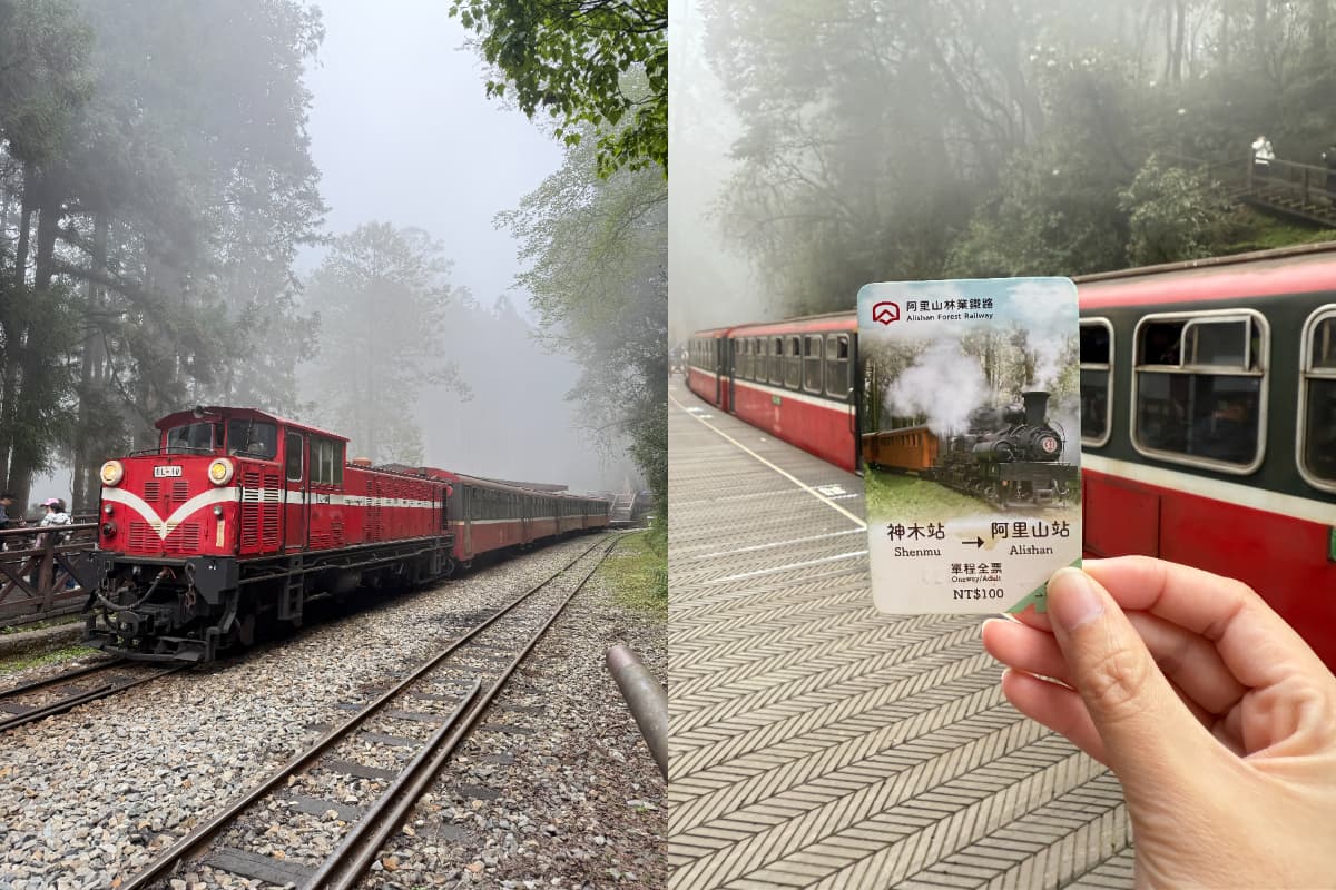 最新Taiwan PASS台鐵版旅遊攻略！一張套票搞定全台交通，說走就走輕鬆玩