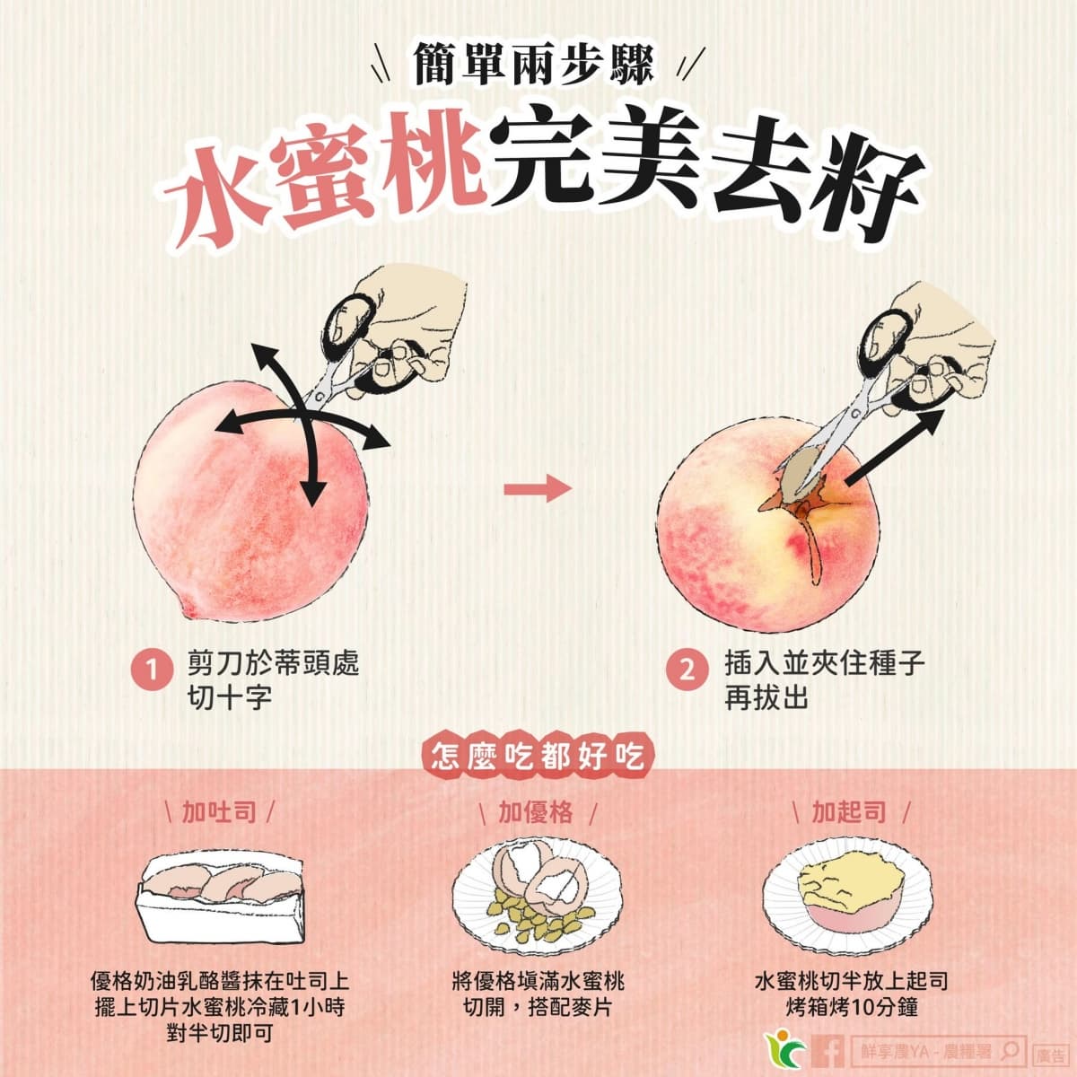 水蜜桃別直接冷藏！農糧署公開正確保存法不變黑，加碼３招挑選香甜多汁