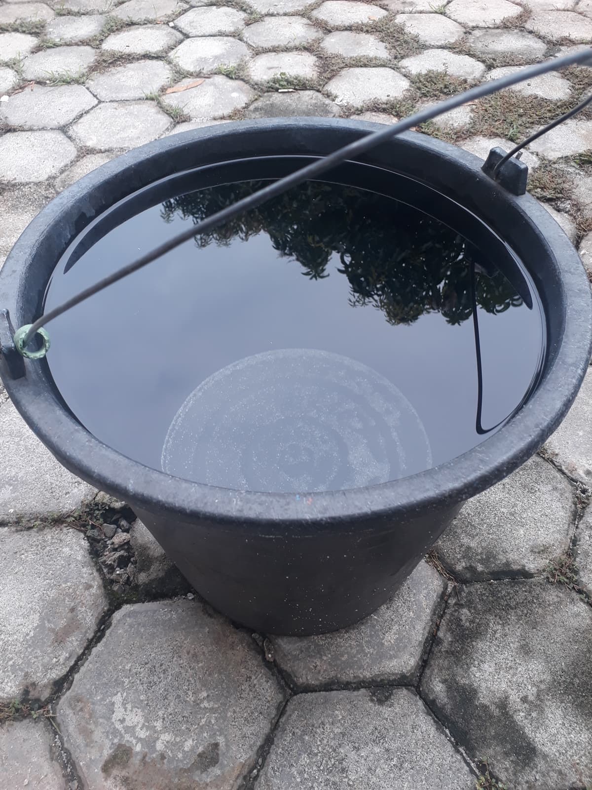 6/19~6/30期間12生肖運勢!把握端午節開運小秘方,屬虎者財運亨通遇貴人 6/19~6/30期間12生肖運勢!把握端午節開運小秘方,屬虎者財運亨通遇貴人