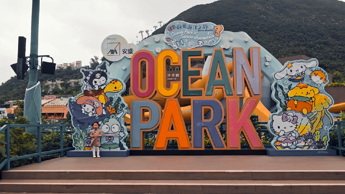 熊貓變大了!湘荷妹妹前進香港海洋公園 熊貓變大了!湘荷妹妹前進香港海洋公園