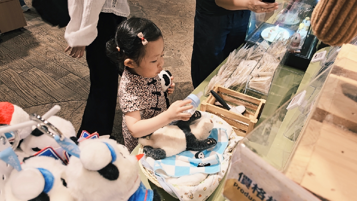 熊貓變大了!湘荷妹妹前進香港海洋公園 熊貓變大了!湘荷妹妹前進香港海洋公園
