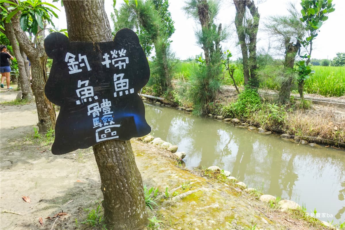 60元暢玩！生態農場免門票入場，摸蛤、撐竿划船、冷泉消暑一次滿足