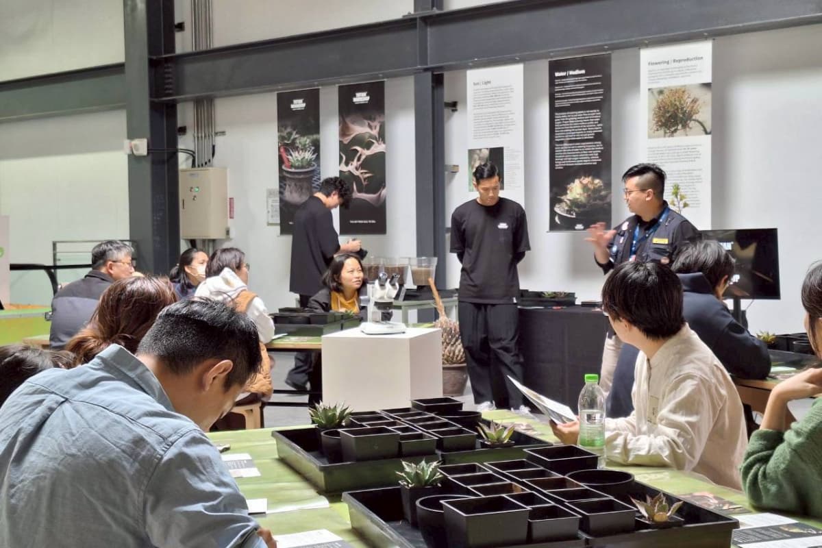 （圖片來源：黑洞科學教育）