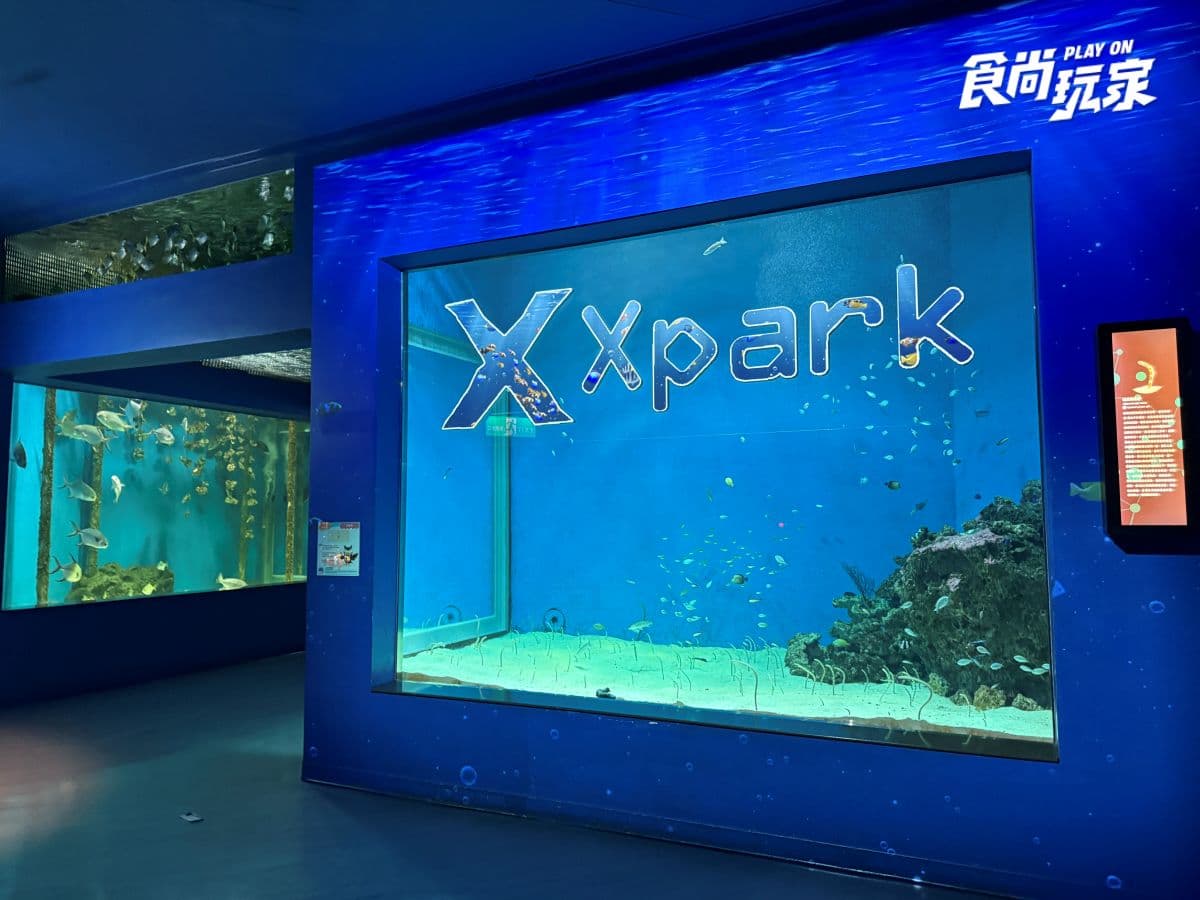 《動物森友會》角色出沒Xpark！免費玩任天堂遊戲機送貼紙，８折星光票回歸