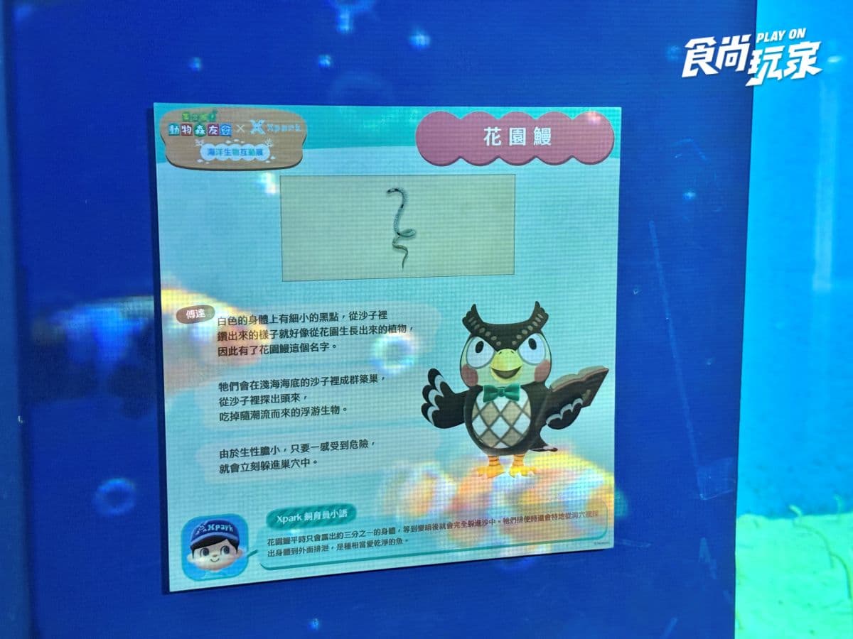 《動物森友會》角色出沒Xpark！免費玩任天堂遊戲機送貼紙，８折星光票回歸