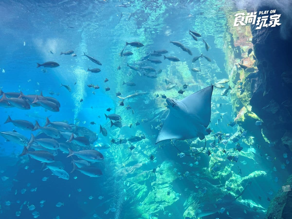 《動物森友會》角色出沒Xpark！免費玩任天堂遊戲機送貼紙，８折星光票回歸